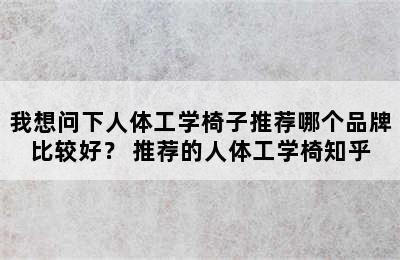 我想问下人体工学椅子推荐哪个品牌比较好？ 推荐的人体工学椅知乎